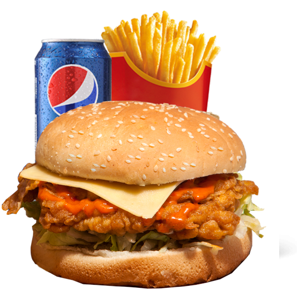 Spicy Chicken Burger Combo – Chicken21