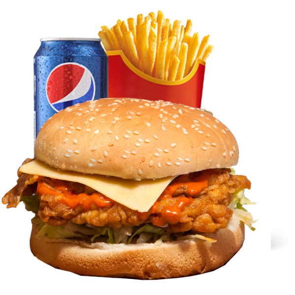 Spicy Chicken Burger Combo – Chicken21